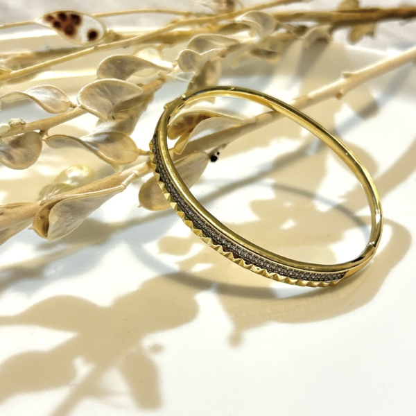 Nelly Çelik Kelepçe